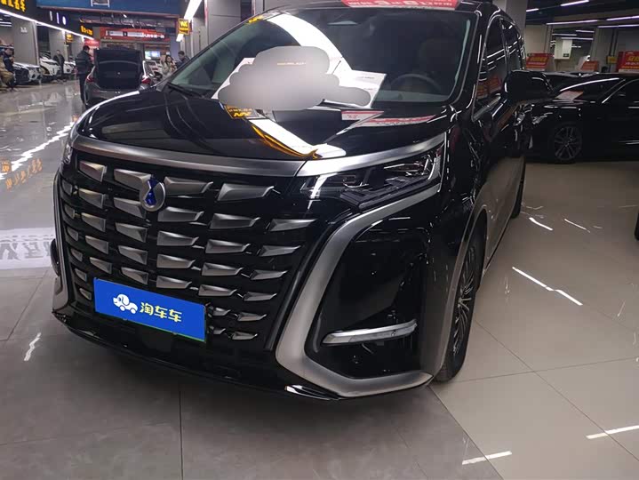 Фото 1 - Denza D9