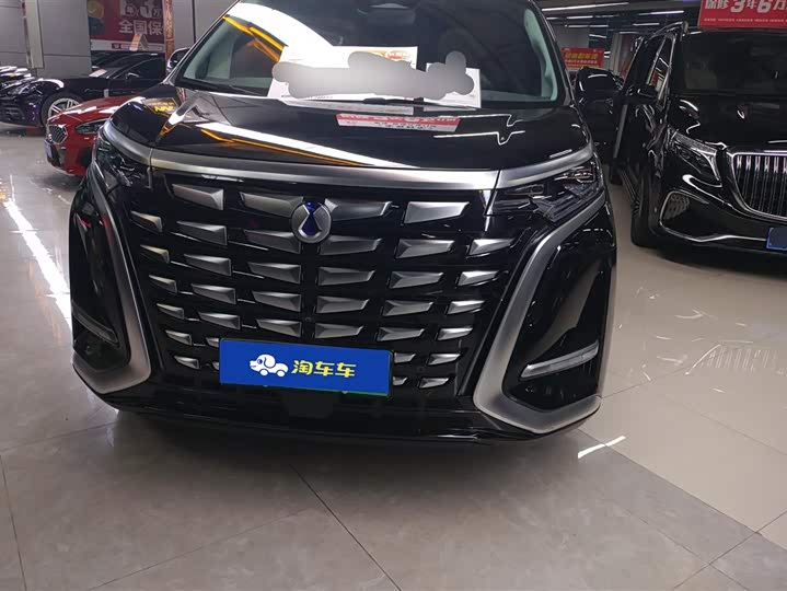 Фото 2 - Denza D9