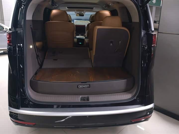 Фото 4 - Denza D9