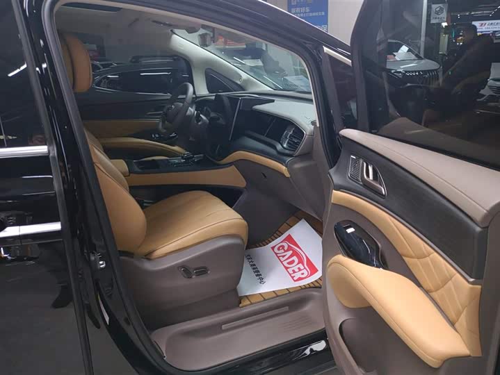 Фото 8 - Denza D9