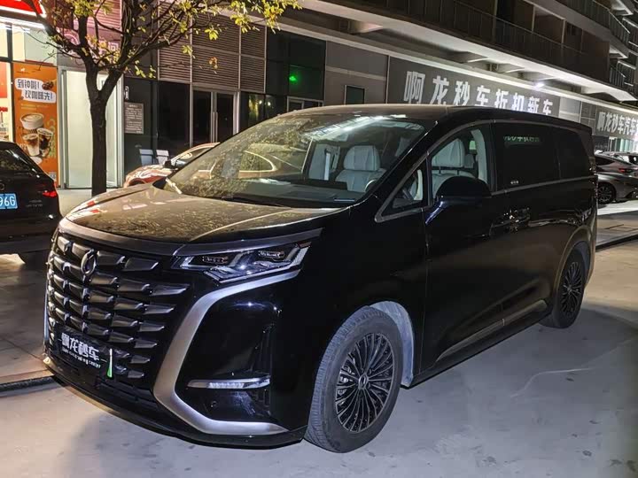 Фото 1 - Denza D9