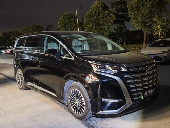 Фото 2 - Denza D9