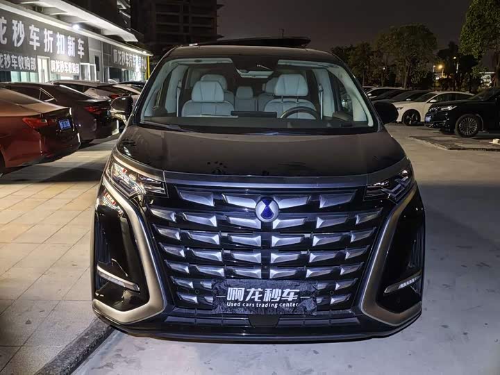 Фото 3 - Denza D9