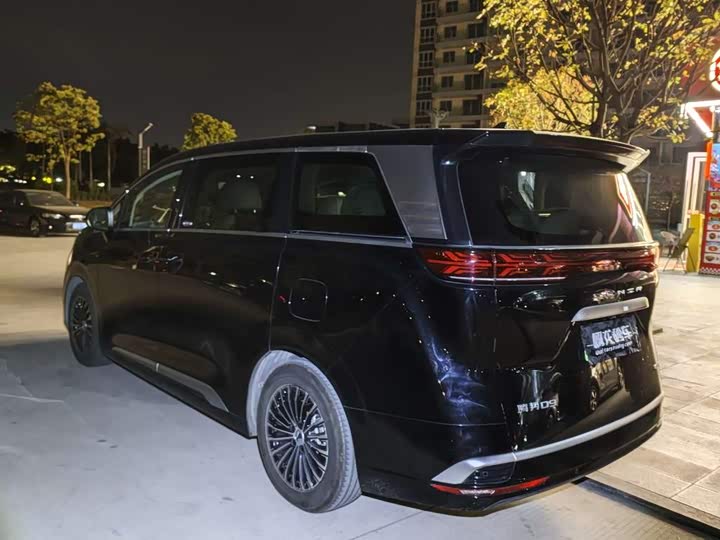 Фото 8 - Denza D9