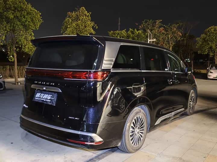 Фото 9 - Denza D9