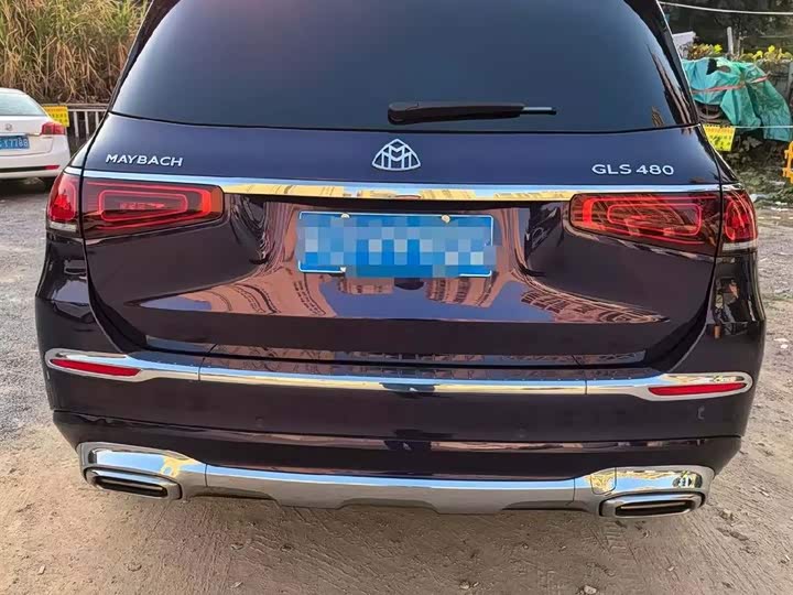 Фото 5 - Mercedes-Benz Maybach GLS