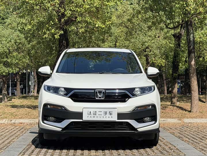 Фото 2 - Honda XR-V