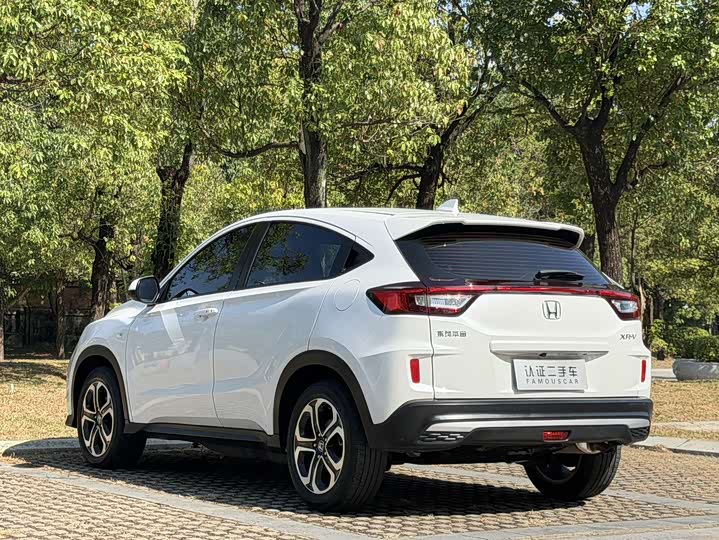 Фото 5 - Honda XR-V