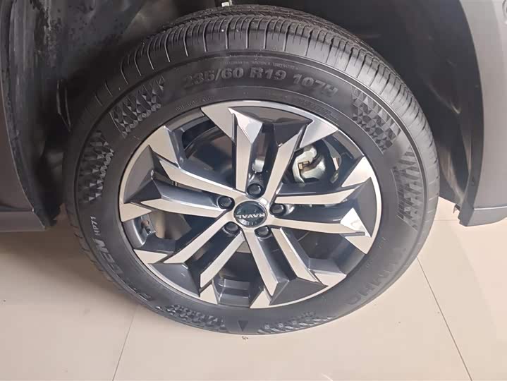 Фото 6 - Haval H-Dog