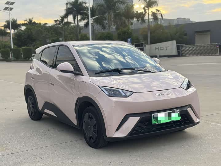 Фото 2 - BYD Seagull