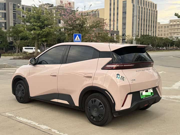 Фото 4 - BYD Seagull