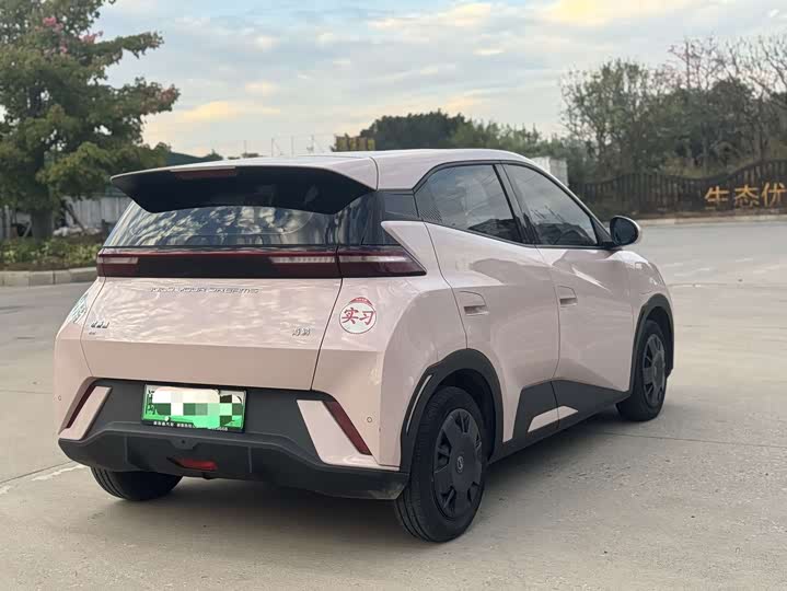 Фото 6 - BYD Seagull