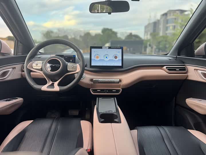 Фото 7 - BYD Seagull