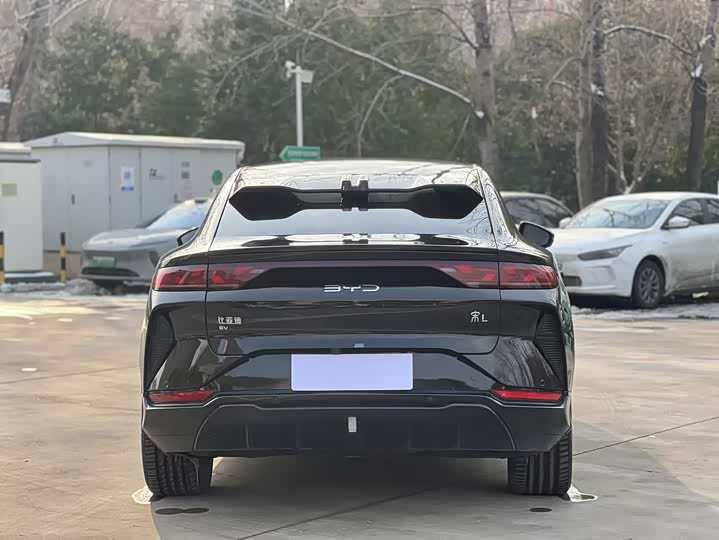 Фото 8 - BYD Song L