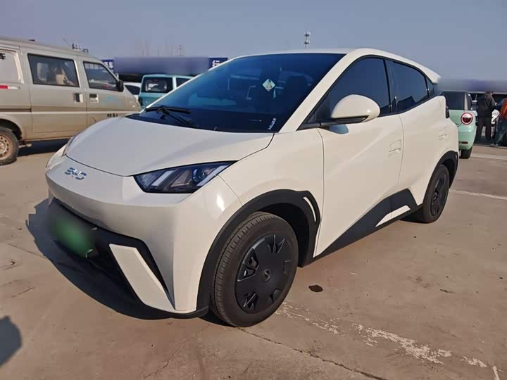 Фото 1 - BYD Seagull