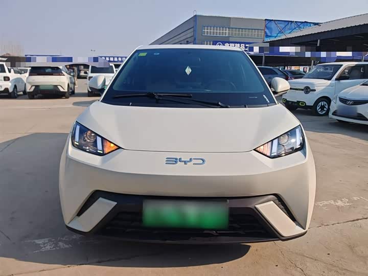 Фото 3 - BYD Seagull