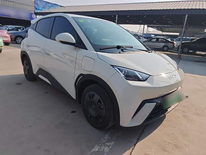 Фото 4 - BYD Seagull