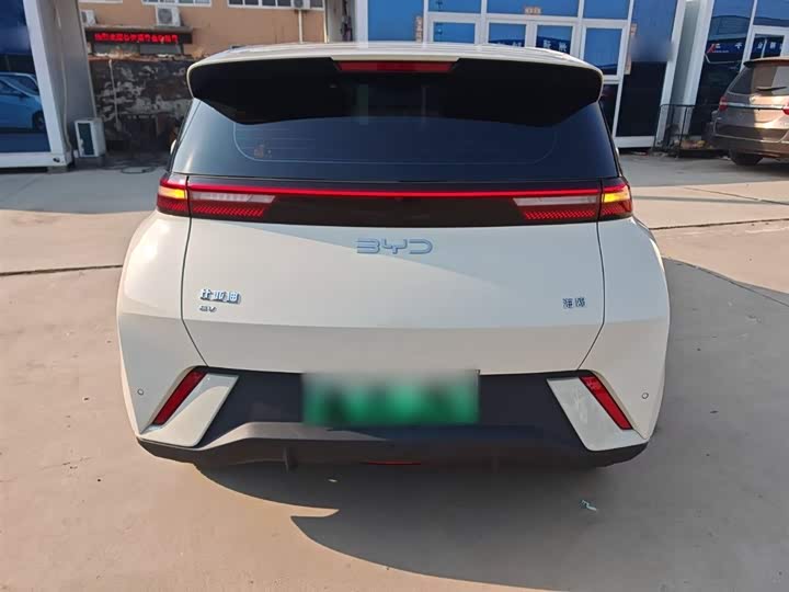 Фото 6 - BYD Seagull