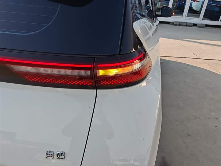 Фото 8 - BYD Seagull