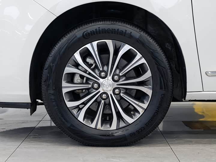 Фото 7 - Buick GL8 ES