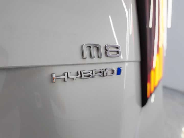 Фото 7 - GAC Trumpchi M8