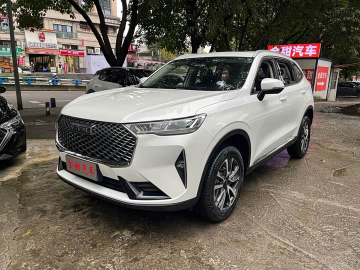 Фото 1 - Haval H6