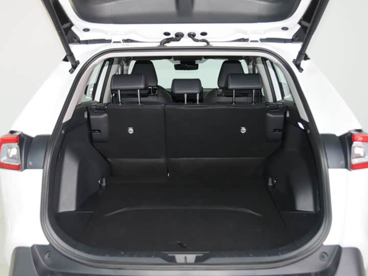 Фото 7 - Toyota Wildlander