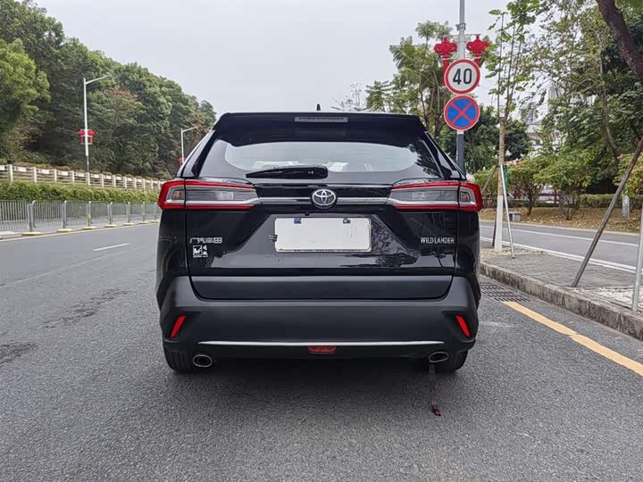 Фото 9 - Toyota Wildlander