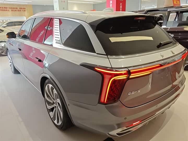 Фото 5 - Hongqi E-HS9