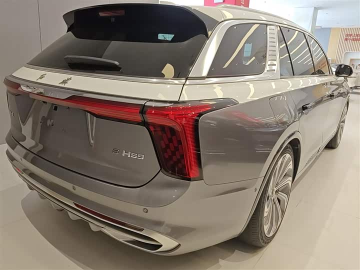 Фото 7 - Hongqi E-HS9