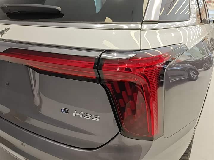 Фото 8 - Hongqi E-HS9