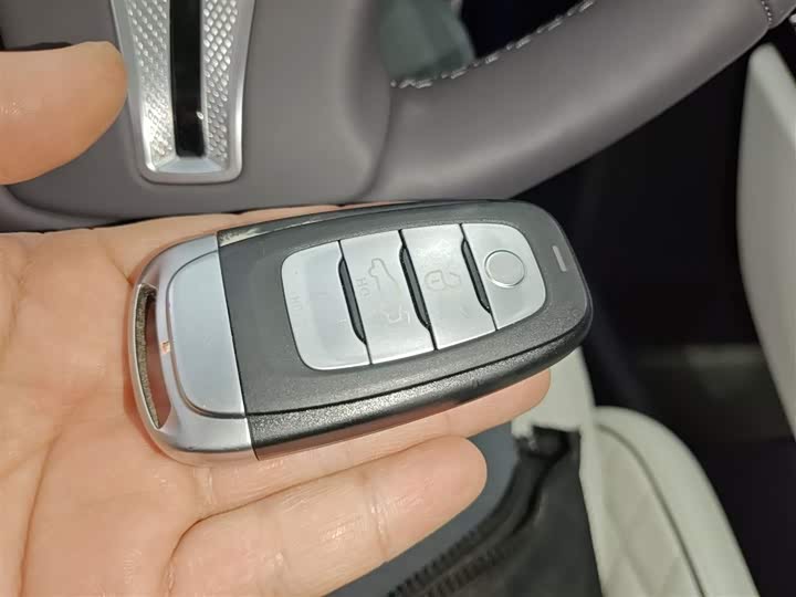 Фото 9 - Hongqi E-HS9