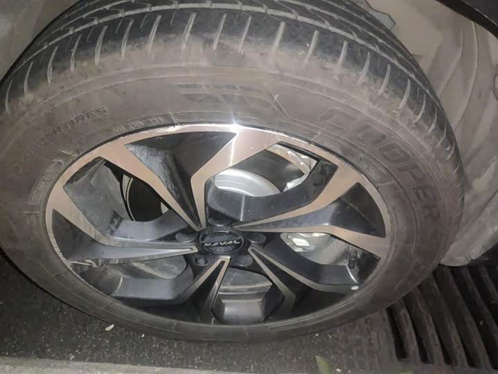 Фото 6 - Haval F7 (Monster)