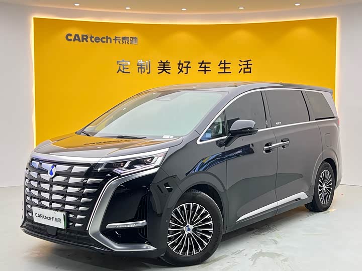 Фото 1 - Denza D9