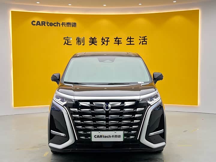 Фото 2 - Denza D9