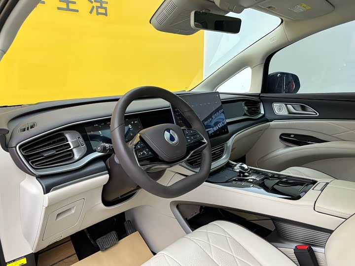 Фото 4 - Denza D9