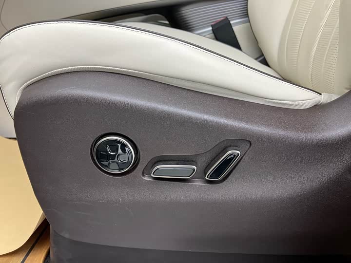 Фото 6 - Denza D9