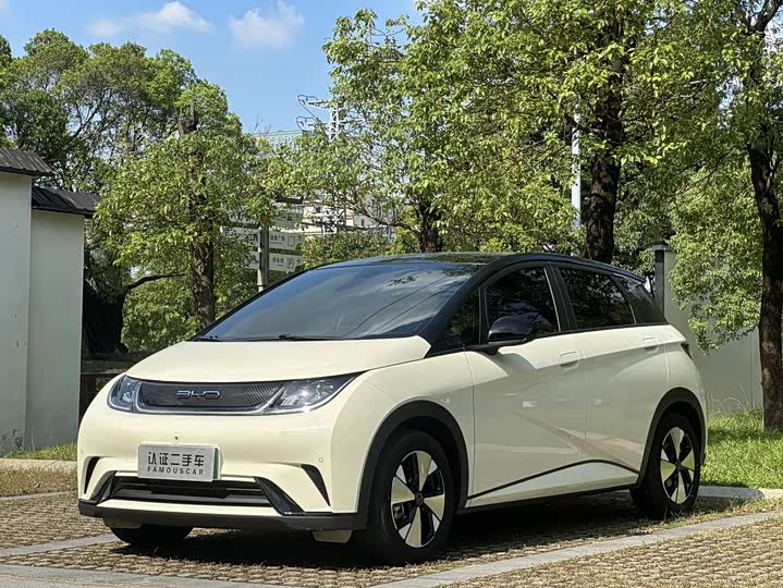 Фото 1 - BYD Dolphin