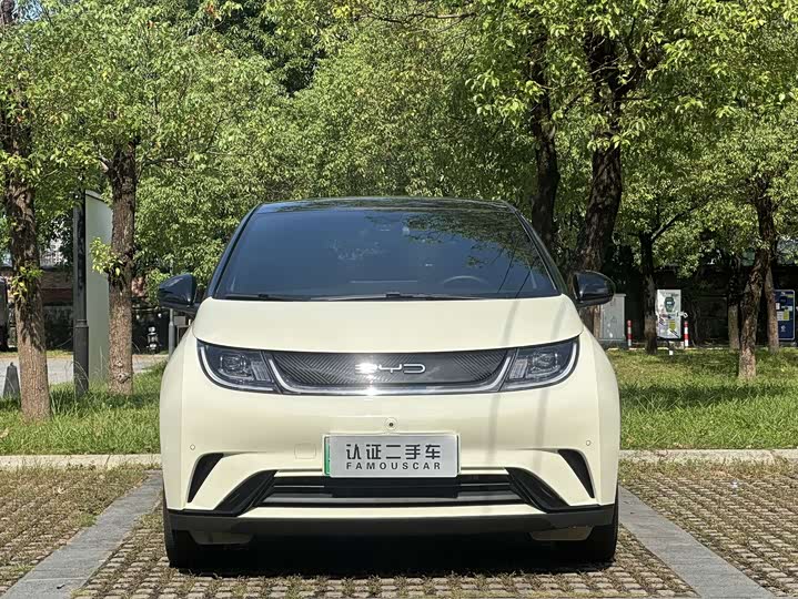 Фото 2 - BYD Dolphin