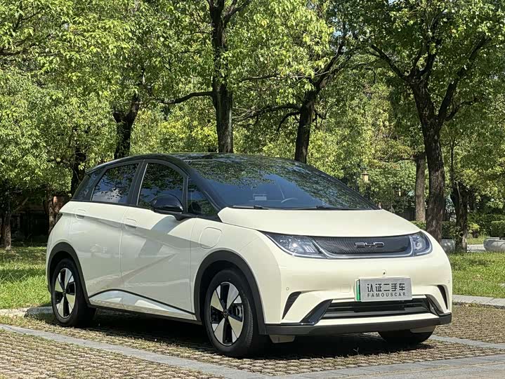 Фото 3 - BYD Dolphin