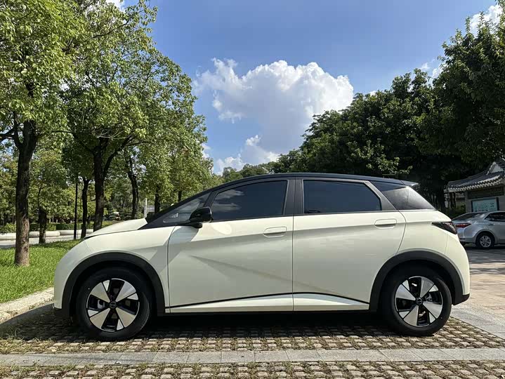 Фото 4 - BYD Dolphin