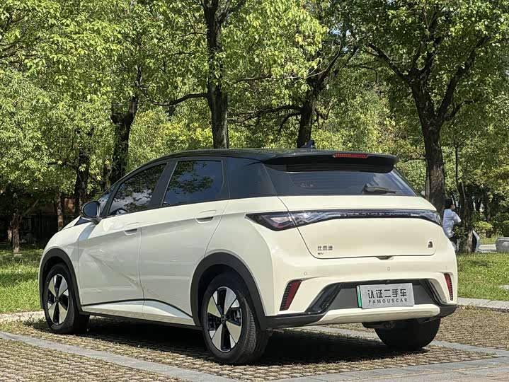 Фото 5 - BYD Dolphin