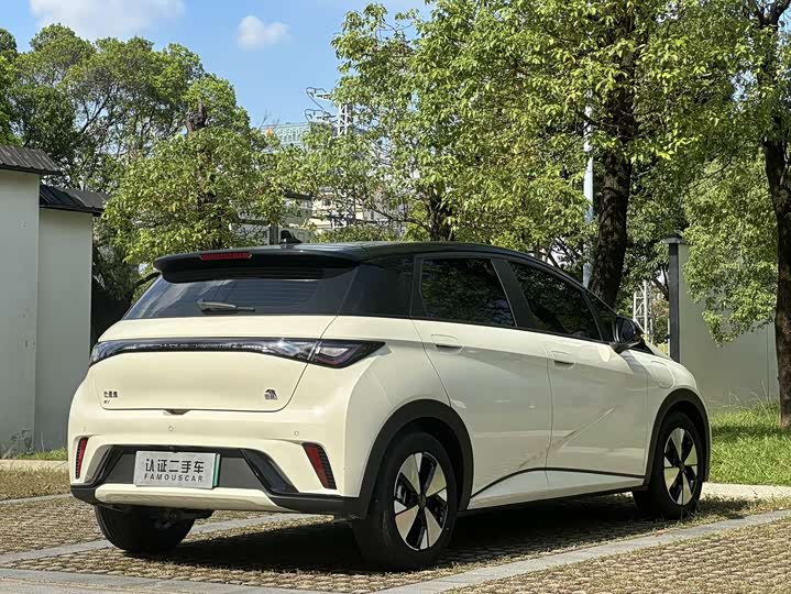 Фото 7 - BYD Dolphin