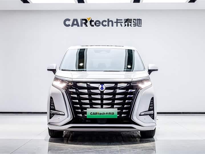 Фото 2 - Denza D9