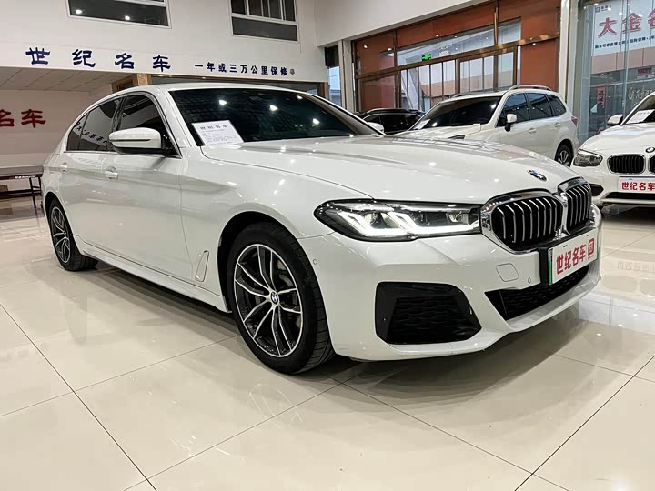 Фото 3 - BMW 5 Series Hybrid