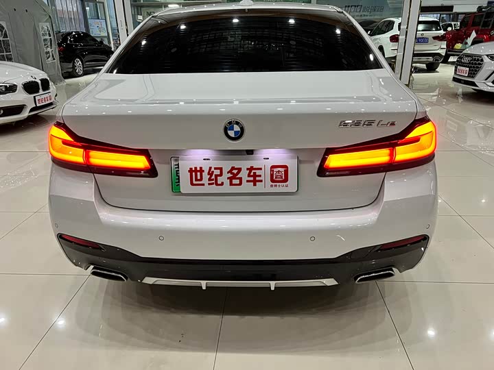 Фото 4 - BMW 5 Series Hybrid