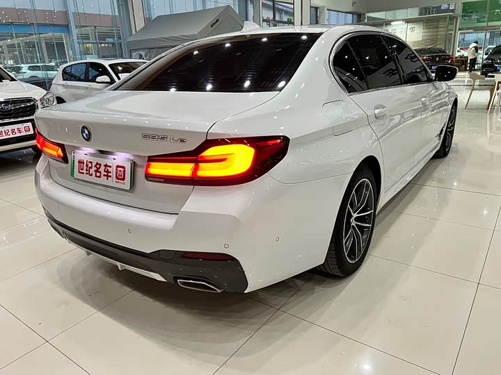 Фото 5 - BMW 5 Series Hybrid