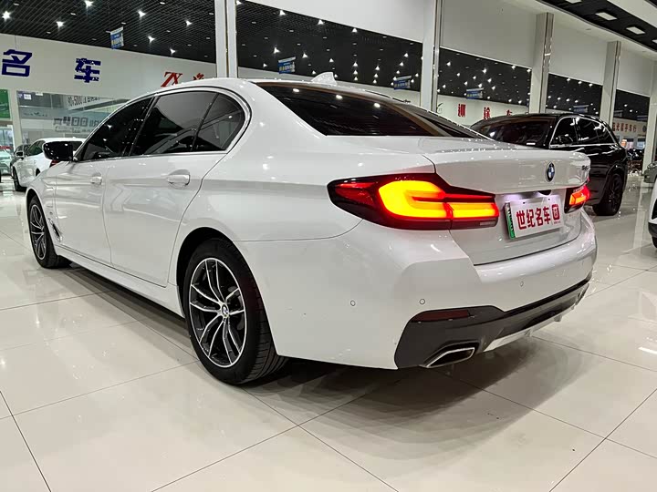 Фото 6 - BMW 5 Series Hybrid