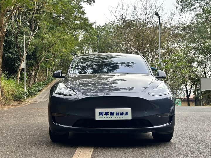 Фото 2 - Tesla Model Y
