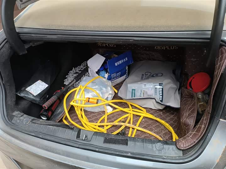 Фото 4 - BYD Qin Plus